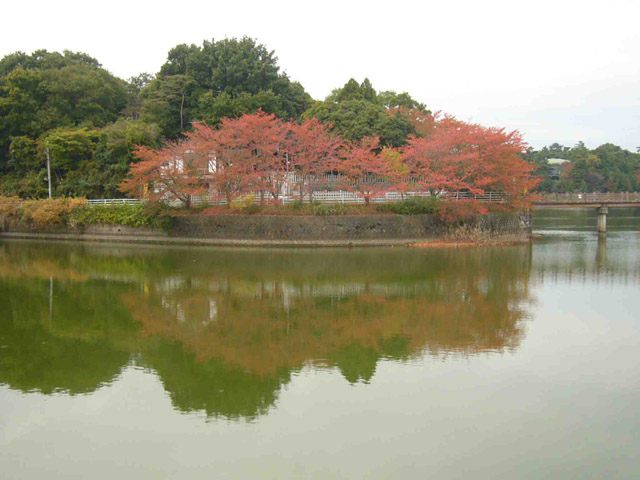 秋の紅葉と大きな池
